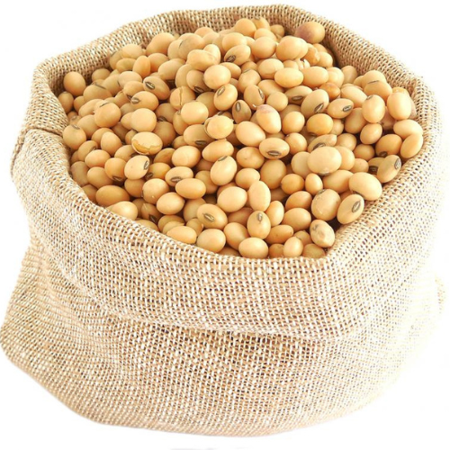 Soy Beans